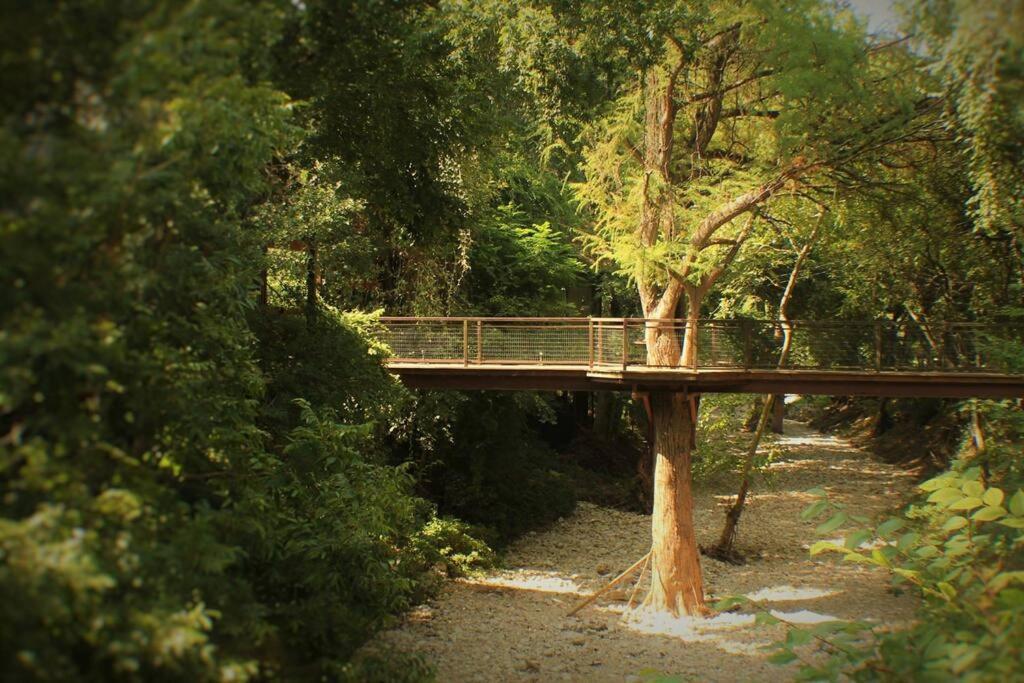 Treehouse 2 - Cardinal Casita Βίλα New Braunfels Εξωτερικό φωτογραφία